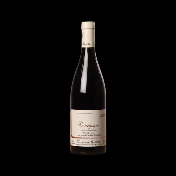 Bourgogne Pinot Noir La Collotte 2022