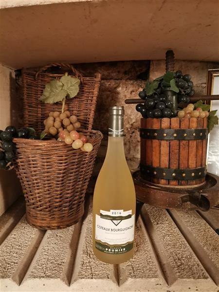 Bourgogne Chardonnay Prunier 2022 Bl