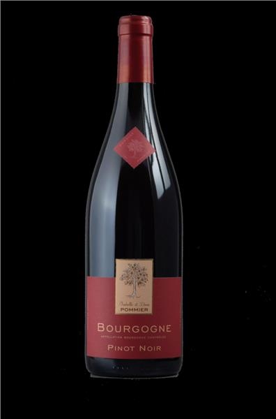 Bourgogne Pinot Noir 2018 Magnum