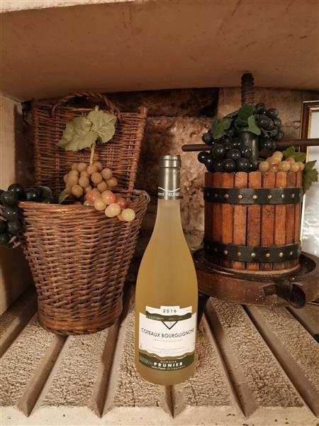 Chardonnay dom. Prunier 2018 BL